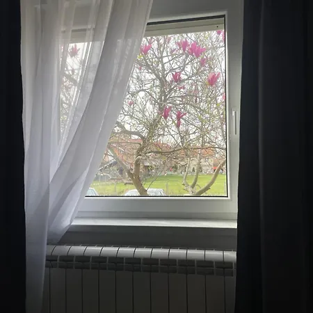 Deluxe Magnolia 2